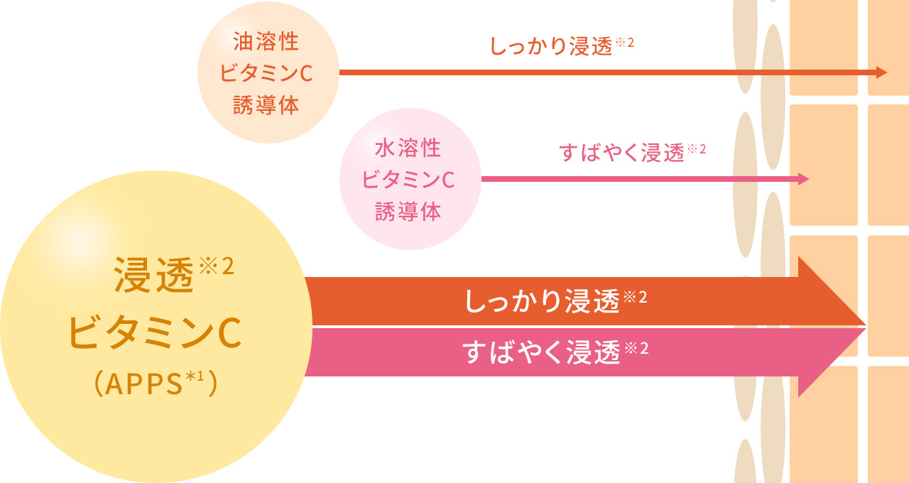 高浸透※2ビタミンC(APPS*1) 油溶性ビタミンC誘導体 水溶性ビタミンC誘導体 しっかり浸透※2 すばやく浸透※2