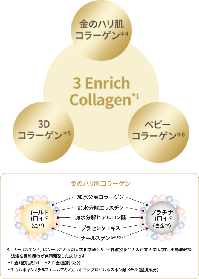 ドクターシーラボ BBクリーム エンリッチリフト 30g×5個セット