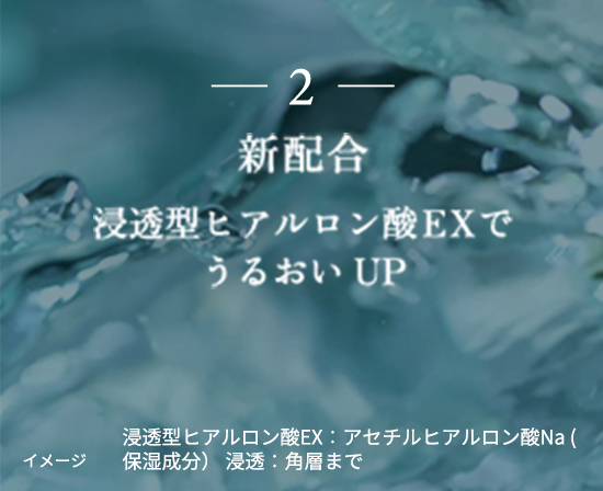 2 新配合　浸透型ヒアルロン酸 EX でうるおいUP