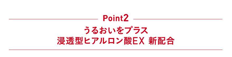 Point2 うるおいをプラス 浸透型ヒアルロン酸EX 新配合