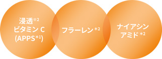 浸透 ビタミンC(APPS) フラーレン ナイアシンアミド