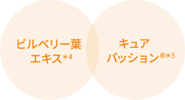 ビルベリー葉エキス キュアパッション