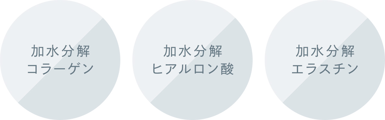 加水分解コラーゲン 加水分解ヒアルロン酸 加水分解エラスチン