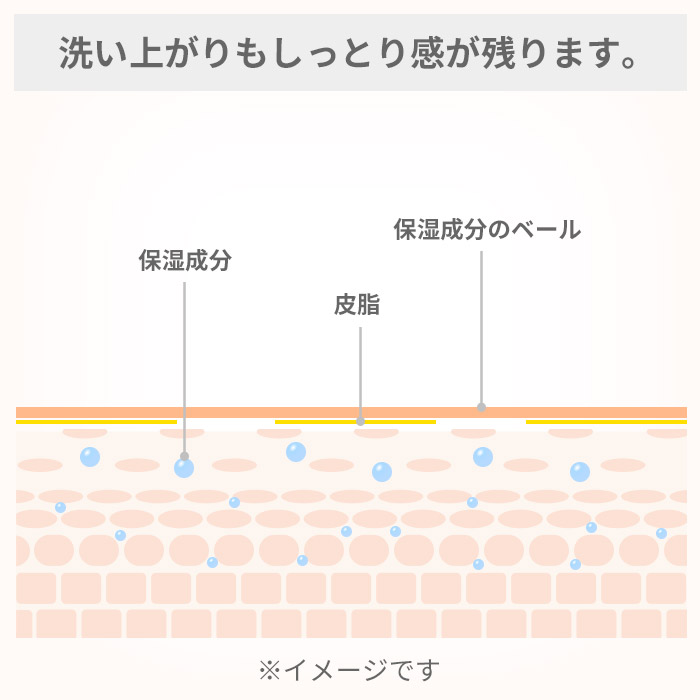 エンリッチリフト ウォッシングミルクEX