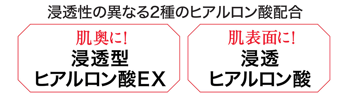 浸透性の異なる2種のヒアルロン酸配合