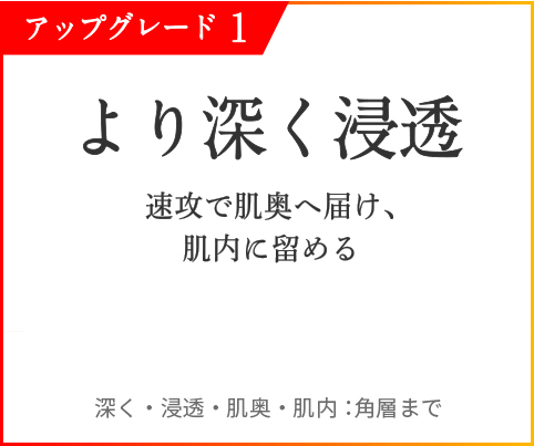 アップグレード1 より深く浸透 速攻で肌奥へ届け、肌内に留める