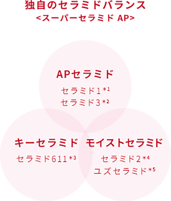 Description1