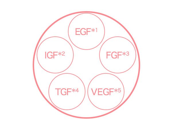 イメージ図