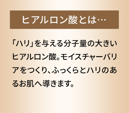 ヒアルロン酸とは　「ハリ」を与える分子量の大きいヒアルロン酸。モイスチャーバリアをつくり、ふっくらとハリのあるお肌へ導きます。