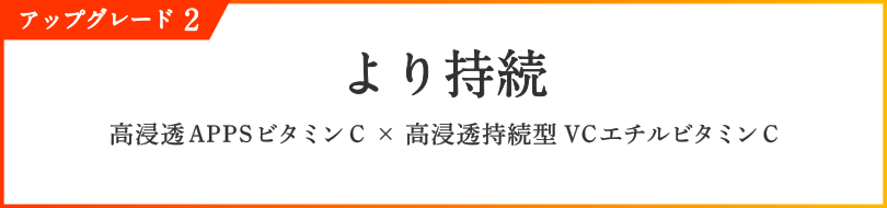 アップグレード2 より持続 高浸透APPSビタミンC × 高浸透持続型VCエチルビタミンC