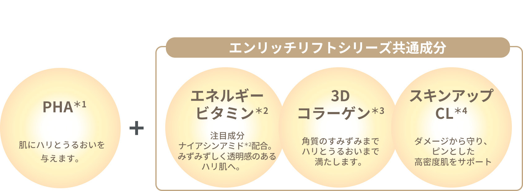 図：エンリッチリフトシリーズ共通部分