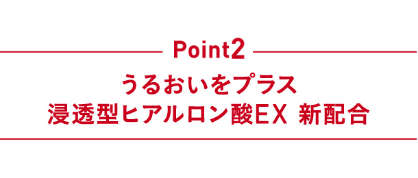 Point2 うるおいをプラス 浸透型ヒアルロン酸EX 新配合