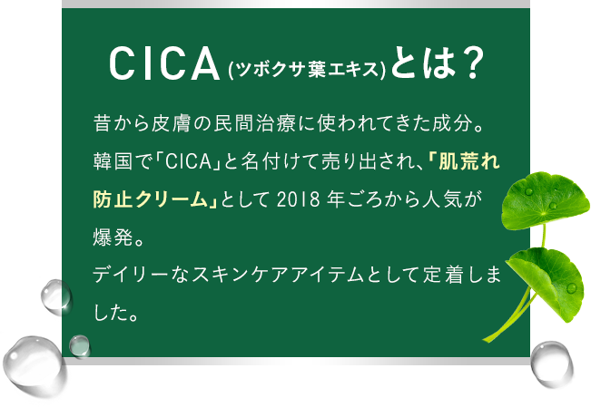 昔から皮膚の民間治療に使われてきた成分。韓国で「CICA」と名付けて売り出され、「肌荒れ防止クリーム」として2018年ごろから人気が爆発。デイリーなスキンケアアイテムとして定着しました。