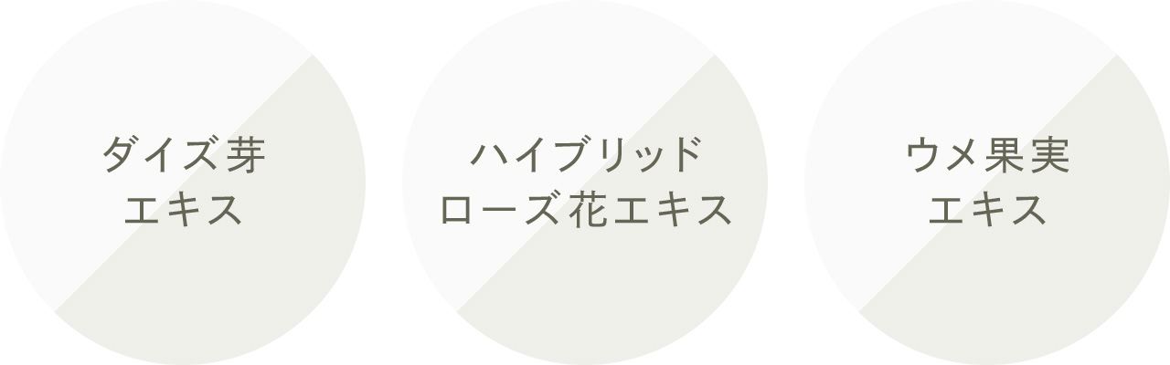ダイズ芽エキス ハイブリッドローズ花エキス ウメ果実エキス
