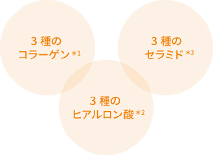 3種のコラーゲン 3種のセラミド 3種のヒアルロン酸