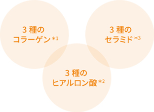 3種のコラーゲン 3種のセラミド 3種のヒアルロン酸