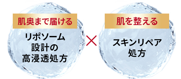 リニューアルで採用！ 肌奥まで届ける リポソーム 設計の高浸透処方 × 肌を整える スキンリペア処方 浸透感アップ！さらなるうるおい感！ 肌奥、浸透：角層まで 浸透感アップ：従来品比