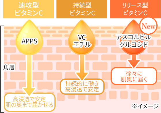 新ダブルリペアセラムの秘密01 3種のビタミンCを厳選 VC100シリーズ ビタミンC最高濃度配合 ビタミンCのそれぞれの特徴を活かし「より速く、肌内に」「より長く」「より安定」のトリプルアプローチ。