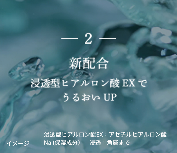 2 新配合　浸透型ヒアルロン酸 EX でうるおいUP