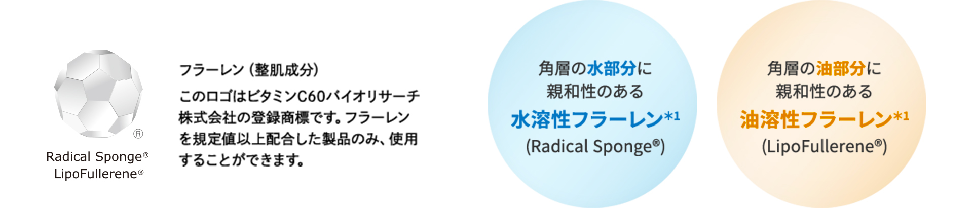 フラーレン(整肌成分)このロゴはビタミンC60バイオリサーチ株式会社の登録商標です。フラーレンを規定値以上配合した製品のみ、使用することができます。角層の水部分に親和性のある水溶性フラーレン(Raadical Sponge) 角層の油部分に親和性のある油溶性フラーレン(LipoFullerene)