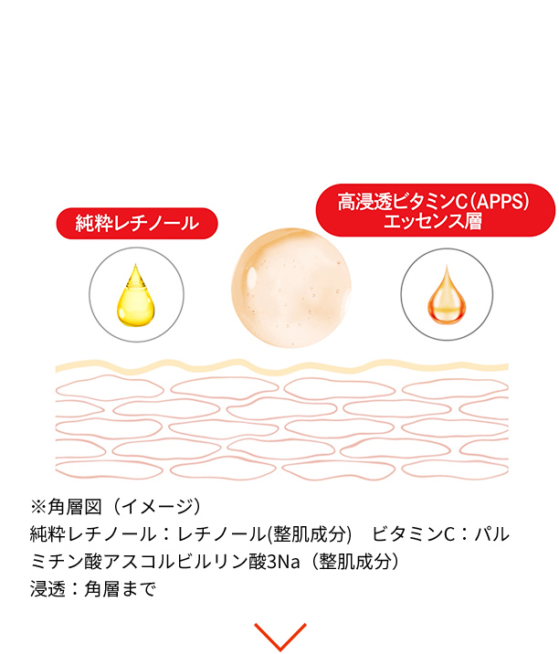 先端美容皮膚科学の視点から 年齢と共に低下するターンオーバーに着目して 厳選した2大成分を配合 純粋レチノール 高浸透ビタミンC(APPS) エッセンス層 ※※角層図（イメージ）