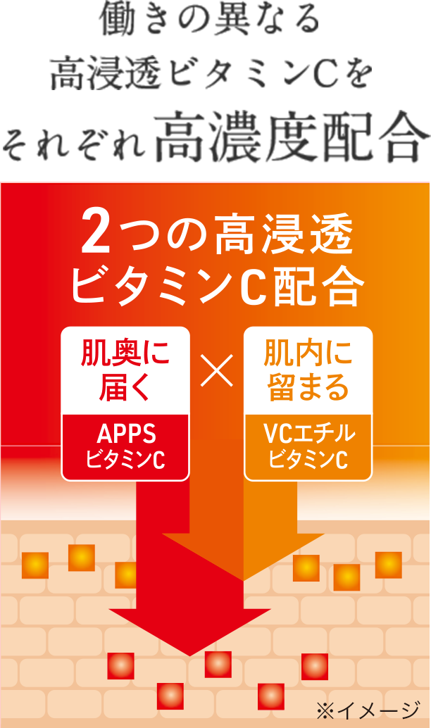 働きの異なる高浸透ビタミンCをそれぞれ高濃度配合
