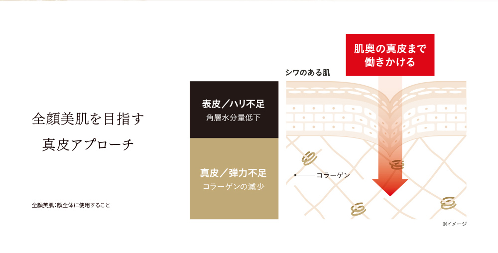 
    全顔美肌を目指す
    真皮アプローチ