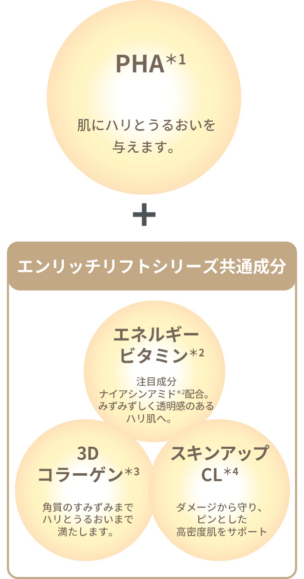 図：エンリッチリフトシリーズ共通部分