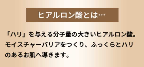 ヒアルロン酸とは　「ハリ」を与える分子量の大きいヒアルロン酸。モイスチャーバリアをつくり、ふっくらとハリのあるお肌へ導きます。